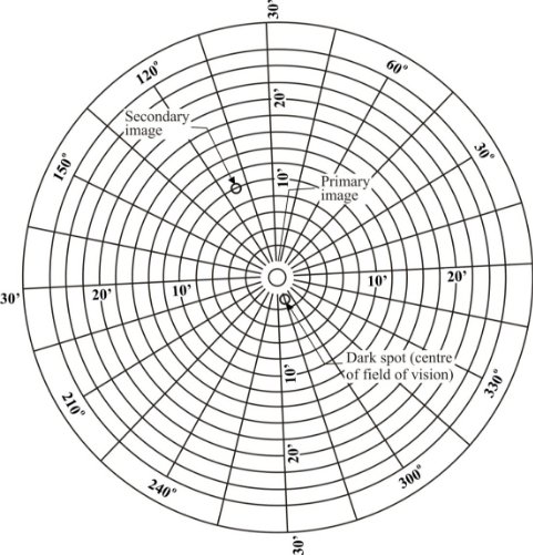 Reg43  Ann1 fig 14