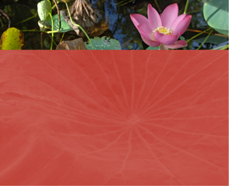 Chapter page image featuring a lotus flower