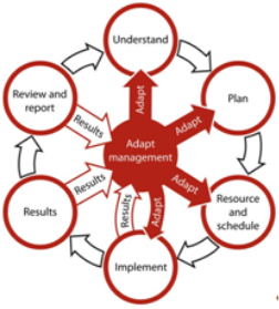 Management Effectiveness framework Diagram