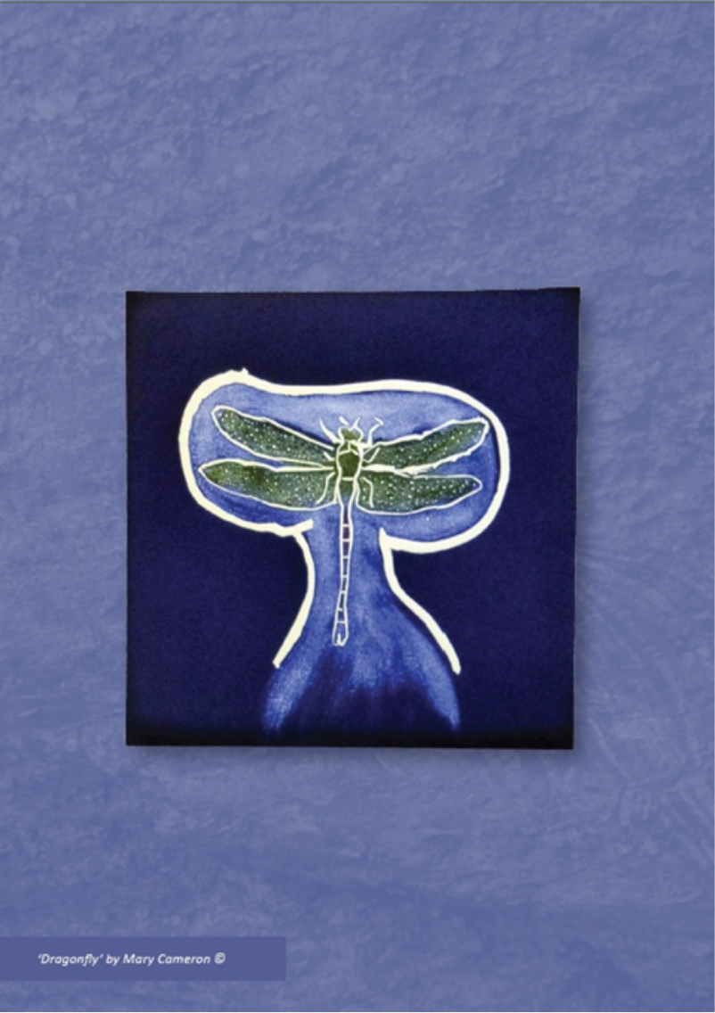 Feature page with artwork by Mary Cameron: Dragonfly