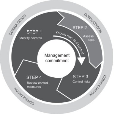 The risk management process is outlined in this diagram including the four steps for managing risk.