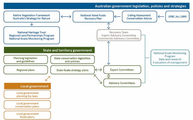 Figure 3. Policies, programs, strategies and regulations at all levels of local, state, territory and Australian governments that relate to the listed Koala recovery. 

A hierarchical diagram illustrating the links between three tiers of government and the relationship with recovery teams and the national koala monitoring program.  