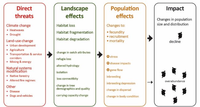 Figure 4. Stylistic representation of the relationships between land use change affecting the landscape and Koala habitat, and Koala populations, exacerbated by climate change and natural systems change. 

There are four panels from left to right; Direct Threats; Landscape effects; Population effects and Impact. 