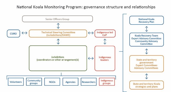 Figure 5. Proposed governance structure of the National Koala Monitoring Program and relationship with the National Koala Recovery Plan, and the state and territory strategies and plans, and committees. 

