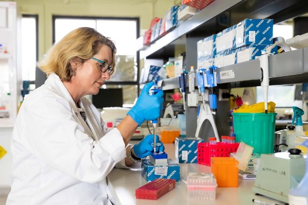 Sequencing the Koala genome. Image: © University of Sydney.

Photograph of a scientist in a laboratory coat at a bench. She is pipetting between tubes in a rack in front of her. 