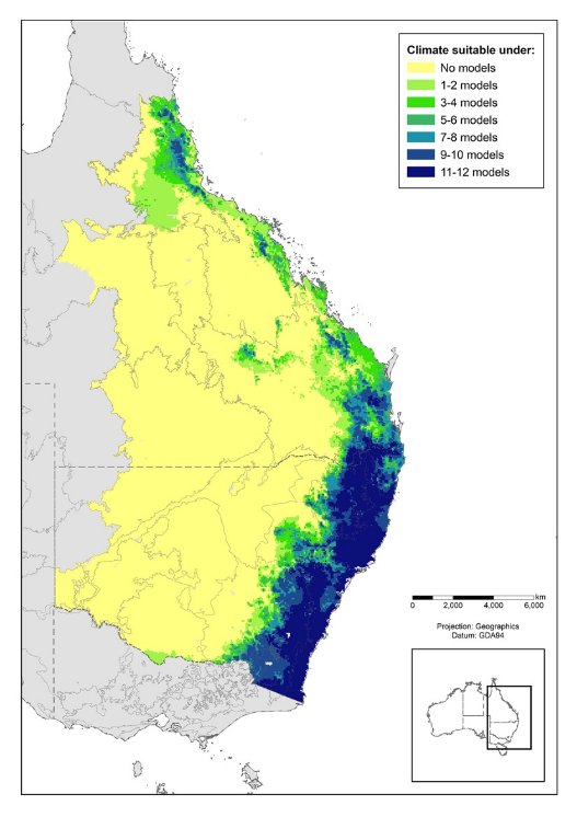 Figure 6. Predicted listed Koala distribution in 2070 under a high global emissions scenario (RCP8.5) considering the impacts of climate-change driven changes to droughts and heatwaves on Koalas. 

Map of eastern Australia showing Queensland, New South Wales, Victoria and South Australia. 