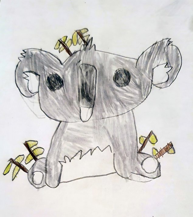 Child’s drawing of a Koala. Image: © Tom Mallela-Leavesley