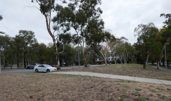 A carpark surrounded by eucalypt trees. West Block is visible through these trees. 