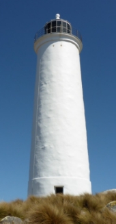 Photograph showing smooth, white lighthouse tower against a blue sky, and surrounded by soft growth.