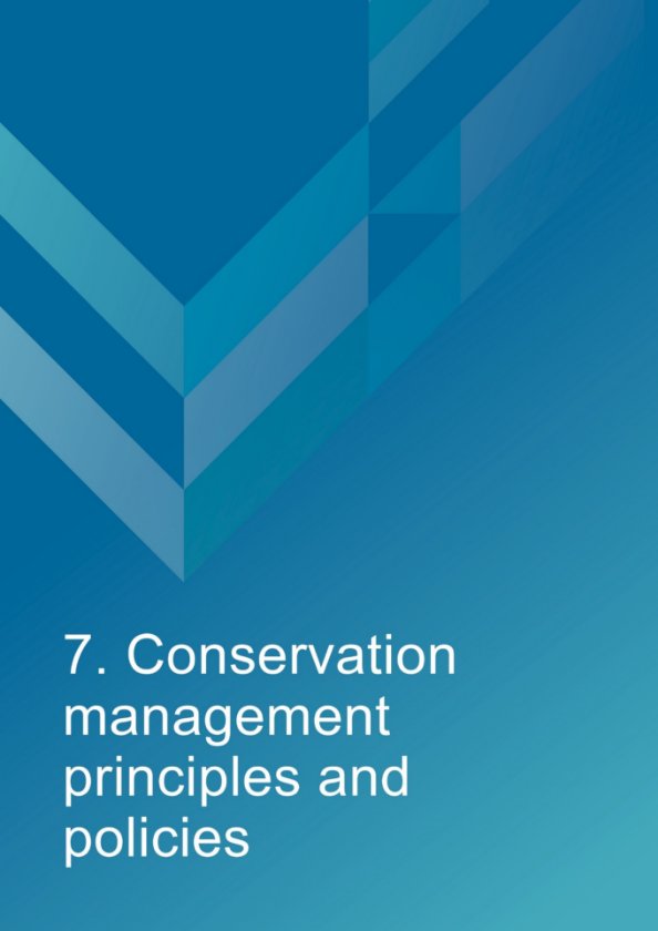 Decorative background with words: 7. Conservation management principles and policies