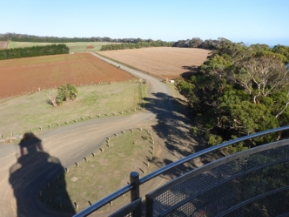 Photograph of fields divided by a dirt track. Shadow of lighthouse tower can be seen on ground.