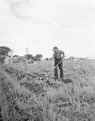 Black and white photograph of a farmer working in a field. A lighthouse tower can be seen in the distance. 