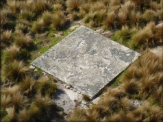 Photograph showing square concrete slab surrounded by grassy vegetation. 