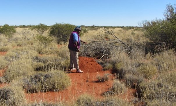 Senior Ranger Rita Cutter pointing out a bilby burrow on Birriliburu country in the Little Sandy Desert, WA.