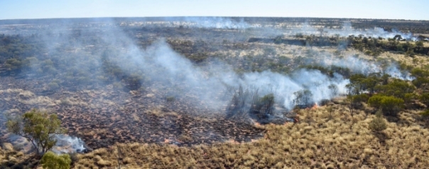 Birriliburu rangers mosaic burning practices.