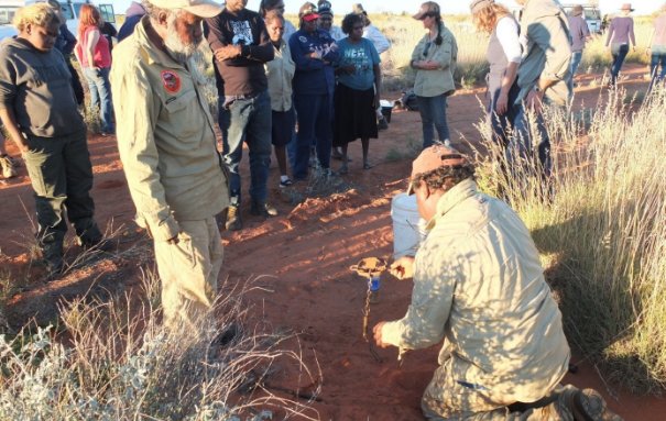 Indigenous rangers demonstrating cat trapping at the Ninu Festival.