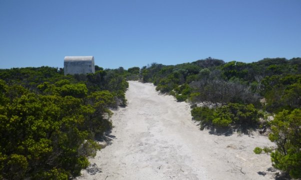 Photograph of dirt path lined with green vegetation. A white, arched shed stands further down the path.