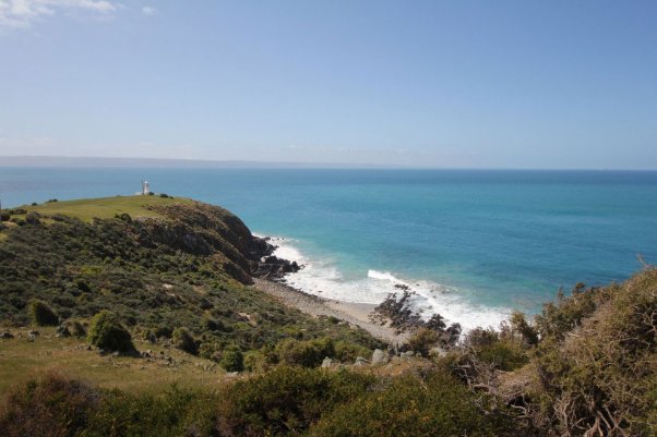 Photograph of coastline overlooking blue sea and sky. A small white lighthouse stands at the end of a green promontory overlooking the ocean. 