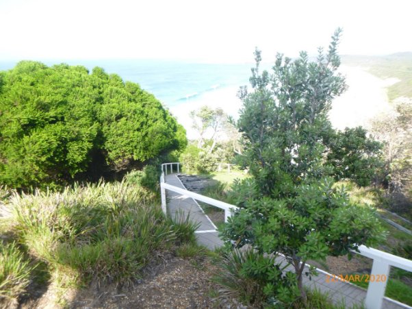 Photograph showing steep pathway snaking through vegetation down towards lightstation cottages. 