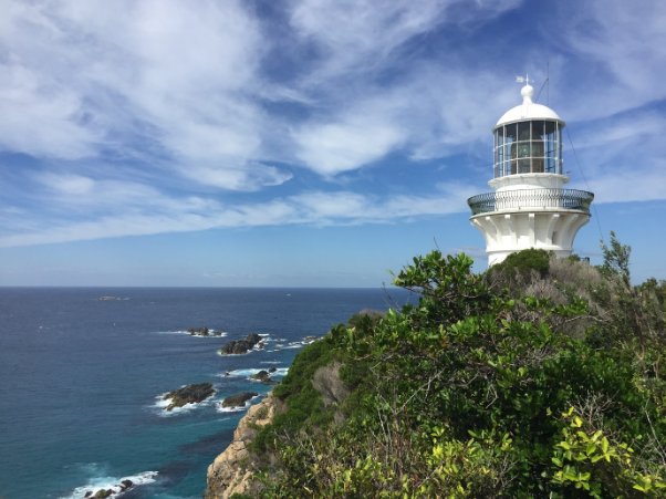 Photograph of white lighthouse tower nestled on a tall promontory surrounded by green vegetation, overlooking a rocky coastline. 