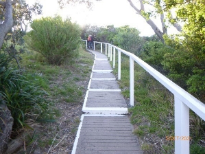 Photograph showing walking path through green vegetation.