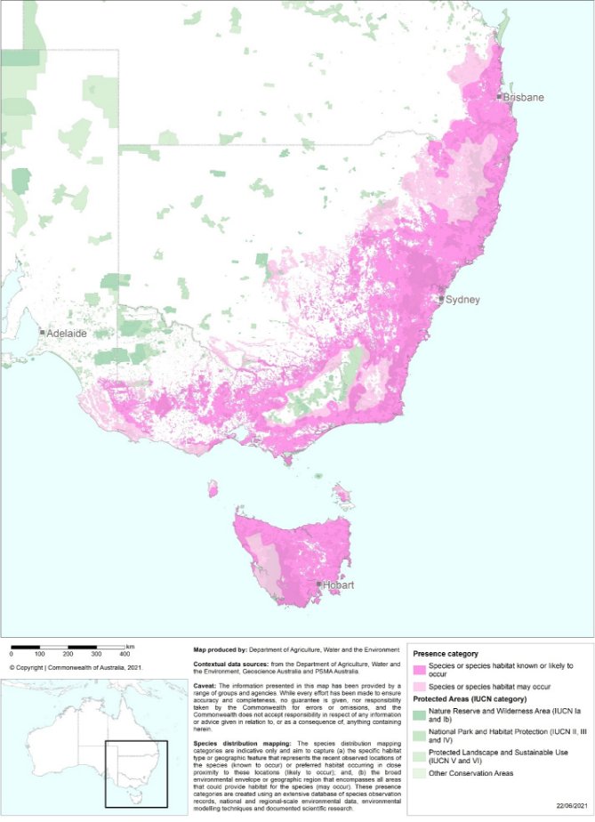 Map showing that the distribution of the Swift Parrot is broad and occurs along the east coast of mainland Australia, from the coastline to between 200 and 400km inland. Its range extends from just north of Brisbane to the far south coast of NSW and Victoria. It can also be found throughout Tasmania, especially on the east coast. There are, however, isolated pockets overall where it is not known to occur and suitable habitat coverage is patchy.