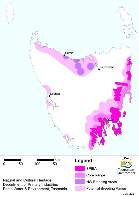 Map of Tasmania as at July 2021 showing potential breeding range of Swift Parrot. Areas shown include Swift Parrot Important Breeding Areas, Core Range, North-West Breeding Areas, and Potential Breeding Range. A map of Tasmania indicating the breeding range of the swift parrot, which predominately occurs on the south-east coast of Tasmania, but isolated pockets occur on the west coast and an isolated stronghold occurs on the north-western coast around Burnie and Launceston.