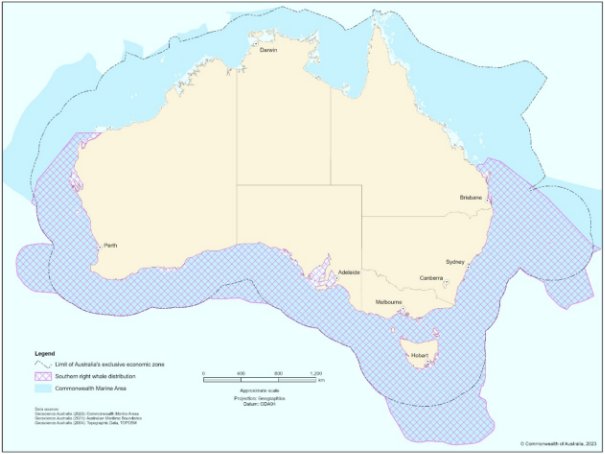 A map showing the spatial distribution of the southern right whale in Australia. The species distribution extends from Exmouth in Western Australia to Hervey Bay in Queensland. 
