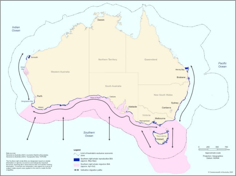 A map showing Biologically Important Areas for southern right whale reproduction and migration, and habitat critical to the survival for the species, throughout the species Australian distribution.
