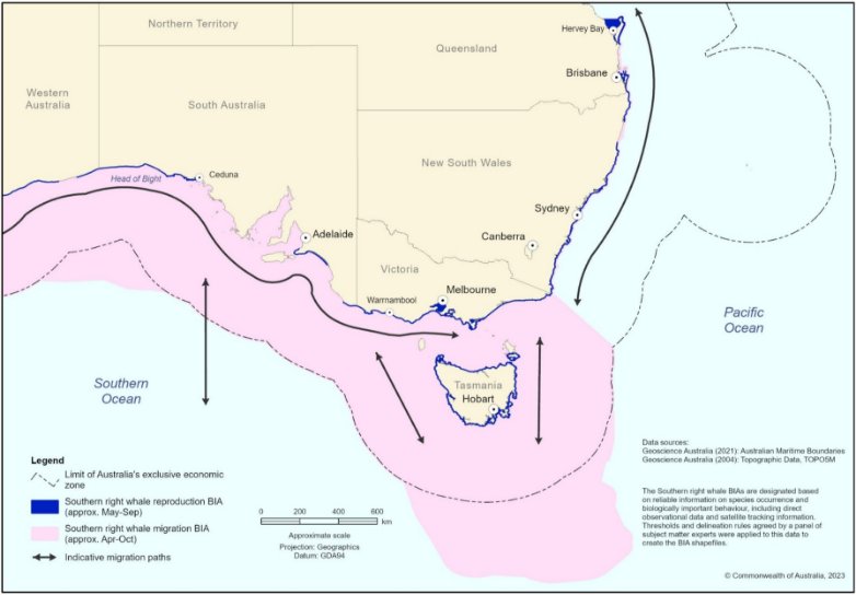 A zoomed in map showing Biologically Important Areas for southern right whale reproduction and migration, and habitat critical to the survival for the species, in eastern Australia.