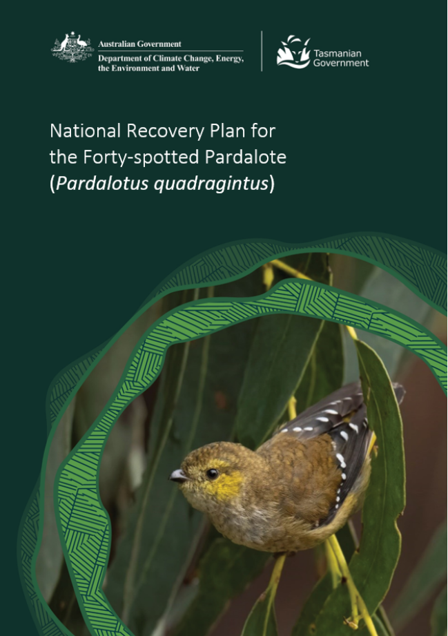 Cover image for the recovery plan.