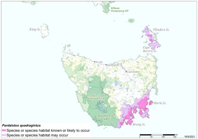 A map of the current modelled distribution of the forty-spotted pardalote, showing the known locations in south-east Tasmania, Flinders Island, Bruny Island and Maria Island. The map also shows an area surrounding the known locations, which is marked as "species or species habitat may occur". See 2.4 Species distribution in Australia for more information.