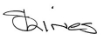 A close-up of a signature

Description automatically generated