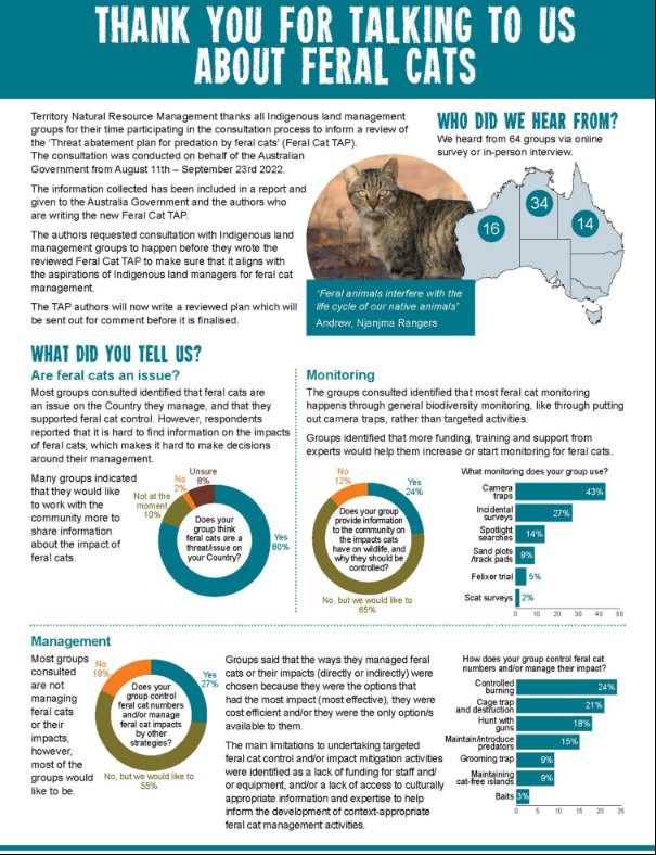 Image of a fact sheet summarising early engagement about feral cats with Indigenous groups in northern Australia. Groups were asked about impacts of feral cats, monitoring and management 